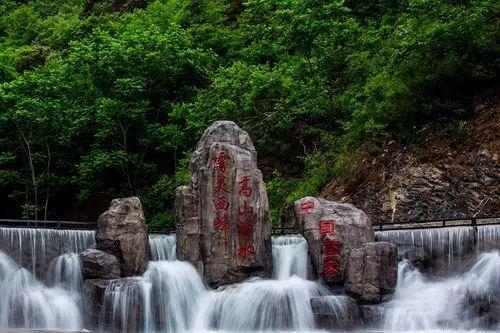 救援萌老虎