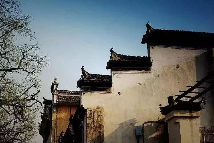 比黄芪补气，比当归补血，这4种不起眼食物，常吃对身体好